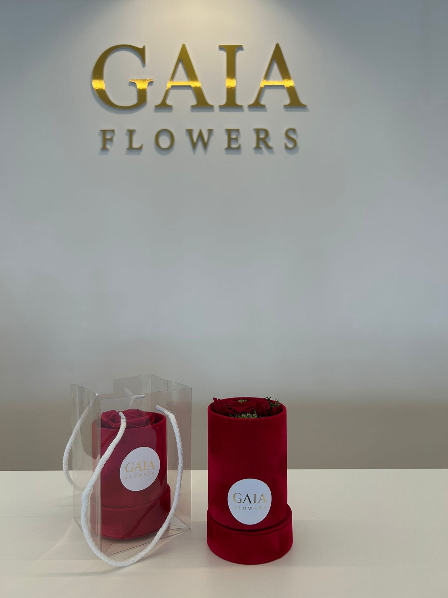 Cilindro Velvet & Rosa Eterna – Con Bag Luxury