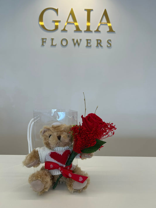 Abbraccio di San Valentino: Orsetto Teddy con Rosa Rossa
