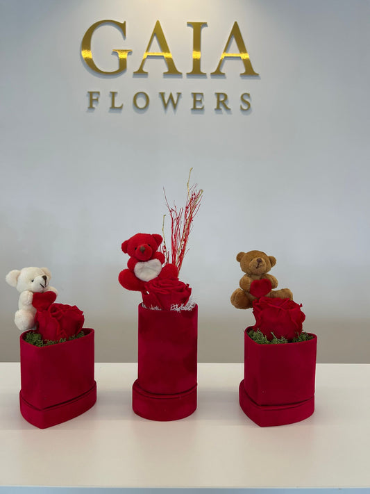 Love Box Teddy & Rosa Stabilizzata