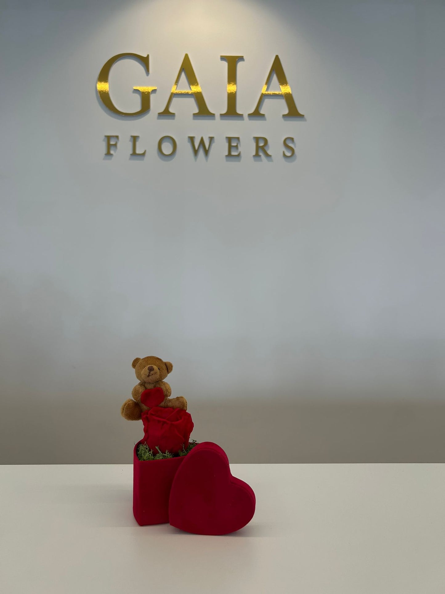 Love Box Teddy & Rosa Stabilizzata